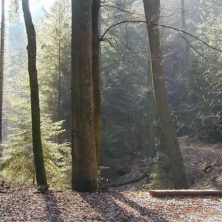 Hotel-restaurant Froehlich Otel Kaiserslautern