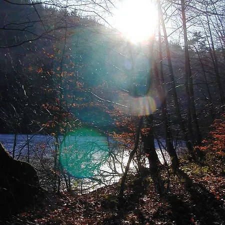 Hotel-restaurant Froehlich Otel 3*