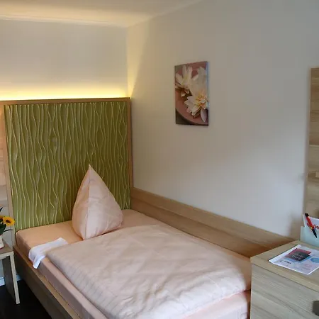 Hotel Hotel-restaurant Froehlich 3*
