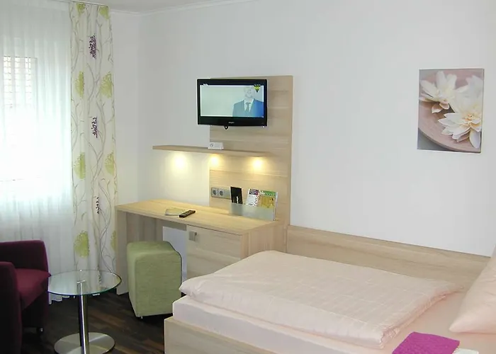 Hotel-restaurant Froehlich 3*