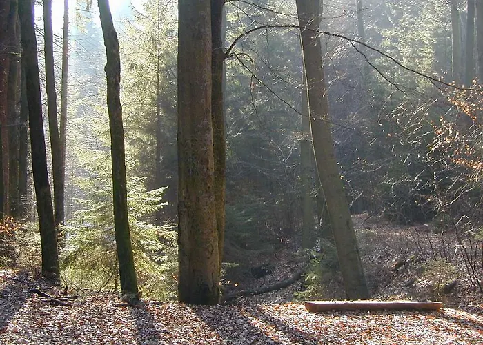 Hotel-restaurant Froehlich Otel Kaiserslautern