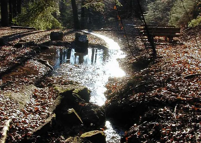 Otel Hotel-restaurant Froehlich 3*