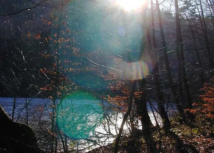 福利池酒店及餐厅 酒店 3*