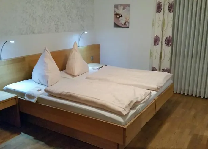 Otel Hotel-restaurant Froehlich Kaiserslautern