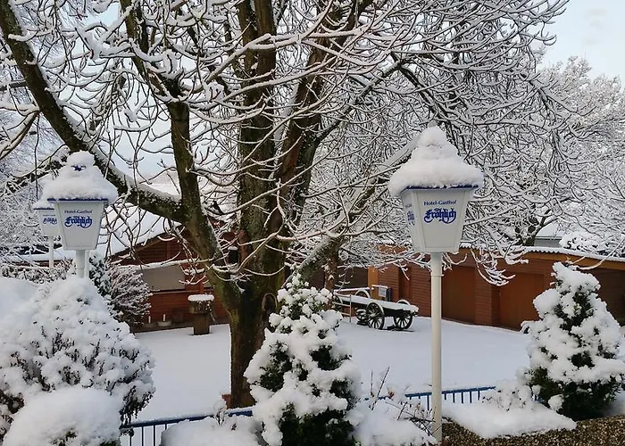 Hotel-restaurant Froehlich Kaiserslautern